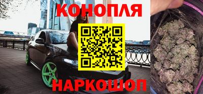 амф Кингисепп