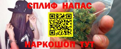 амф Кингисепп
