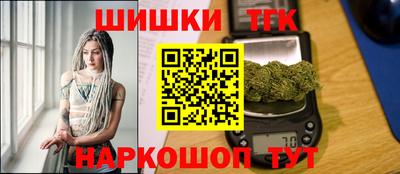 амф Кингисепп
