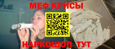 амф Кингисепп