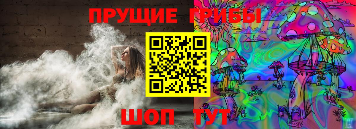 закладки  Галлюциногенные грибы Cubensis  Вход с VPN  Псилоцибиновые грибы MAGIC MUSHROOMS  Корсаков 