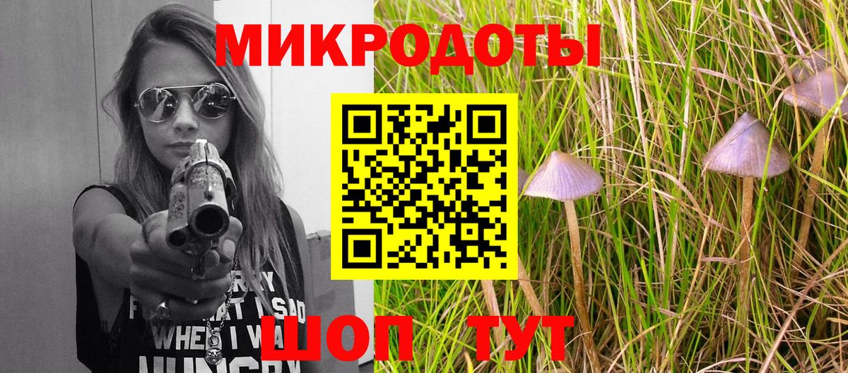 Псилоцибиновые грибы прущие грибы Корсаков